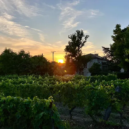 בית נופש Du Clos De Gamel Lascabanes